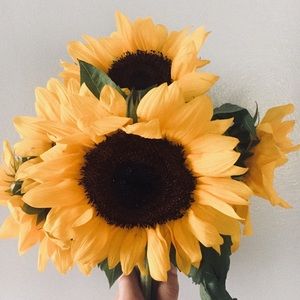 Meet your Posher, Lydia